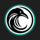 BetRaven bookmaker logo