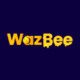 WazBee