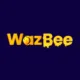 WazBee